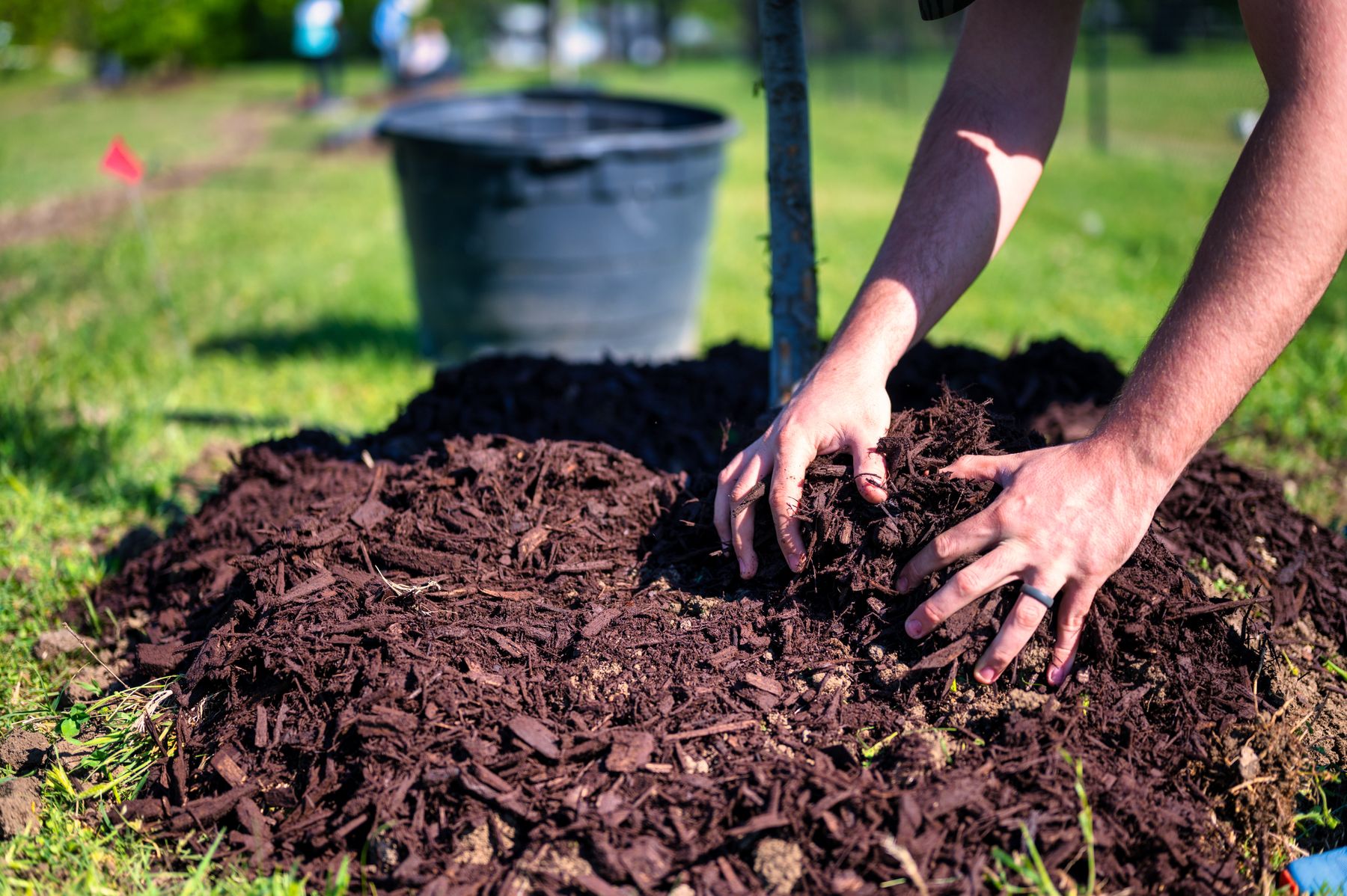 A cooler, greener way to live